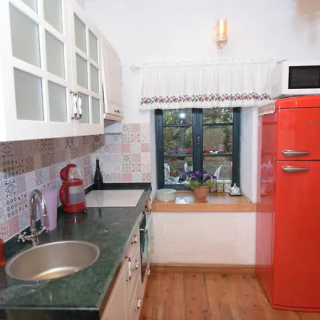 Ilya Sirince Selçuk